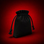 Baritono Vault Speaker Bag